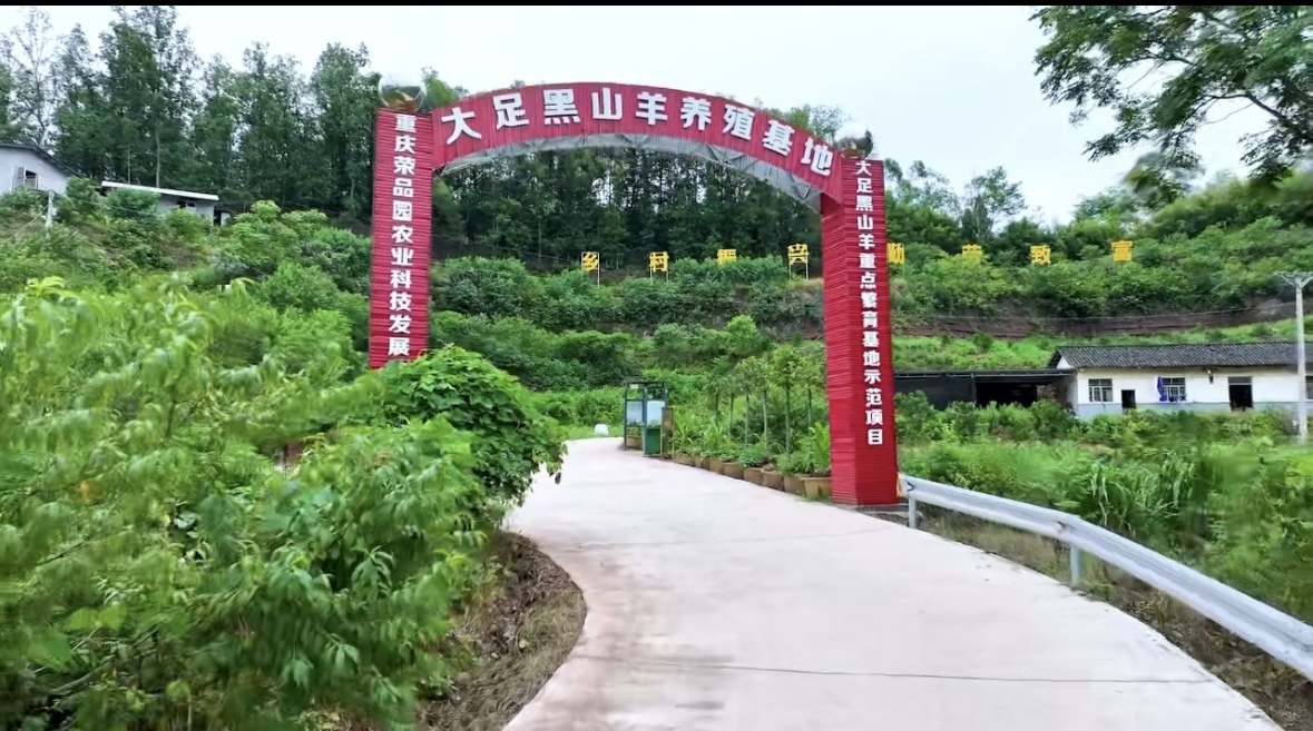 微信图片_20260108105200_840_4