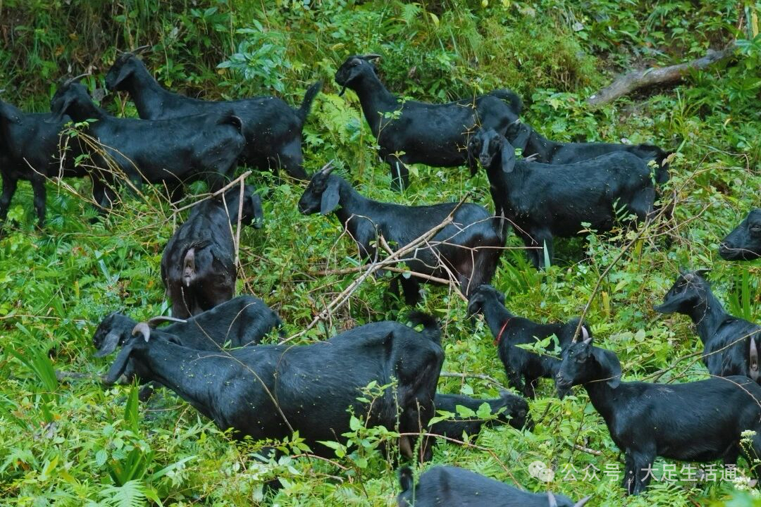 微信图片_20260108105404_842_4